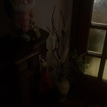 House *